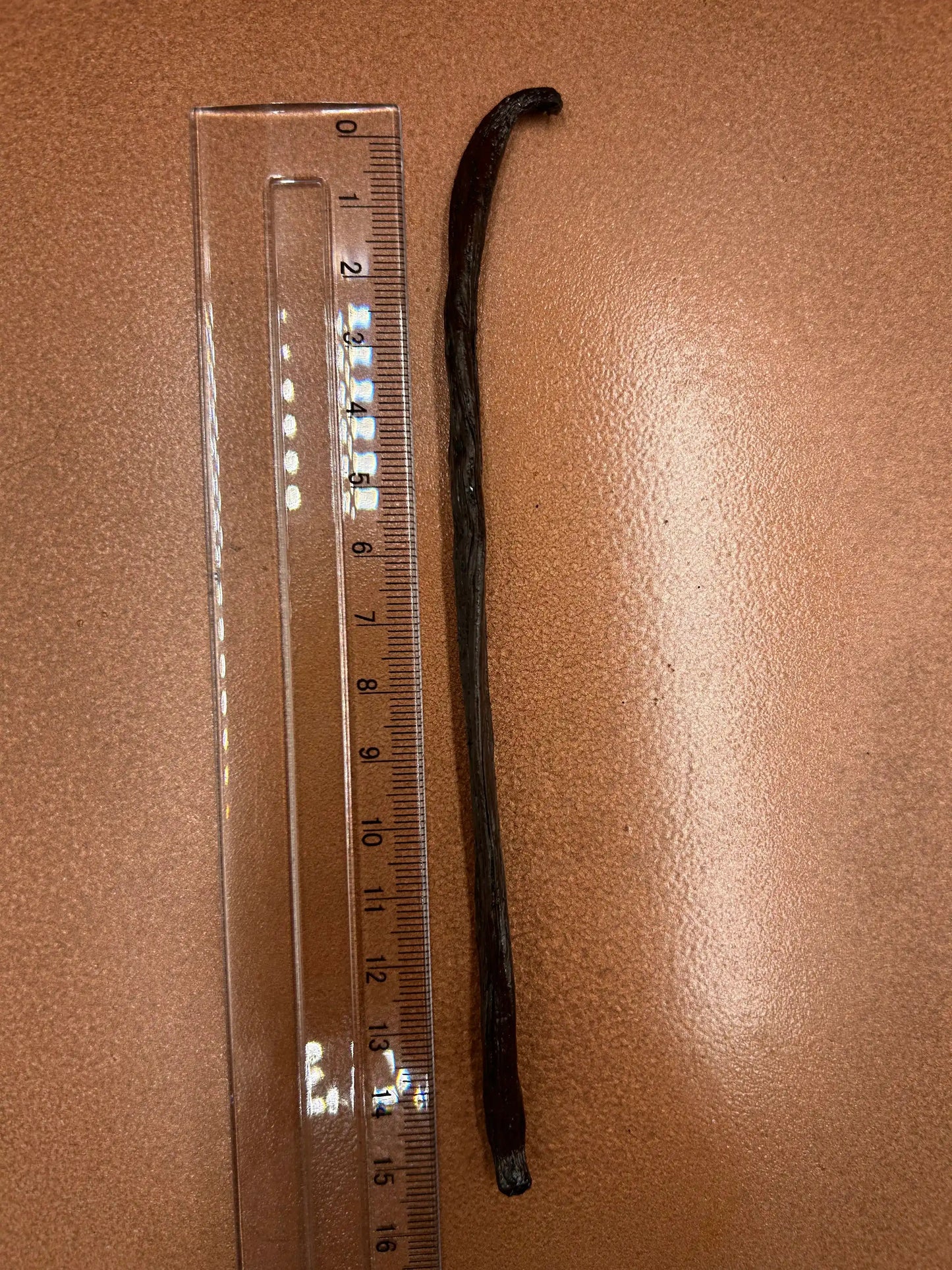 Vanille Bourbon Madagascar 19 cm calibrée