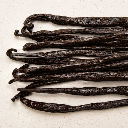 Atelier Évin — Madagascar Bourbon Vanilla 14–18 cm - Grade A/A+