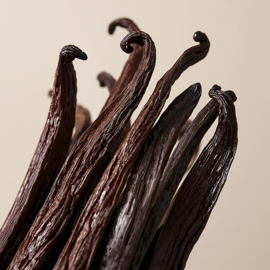 Atelier Évin — Madagascar Bourbon Vanilla 14–15 cm