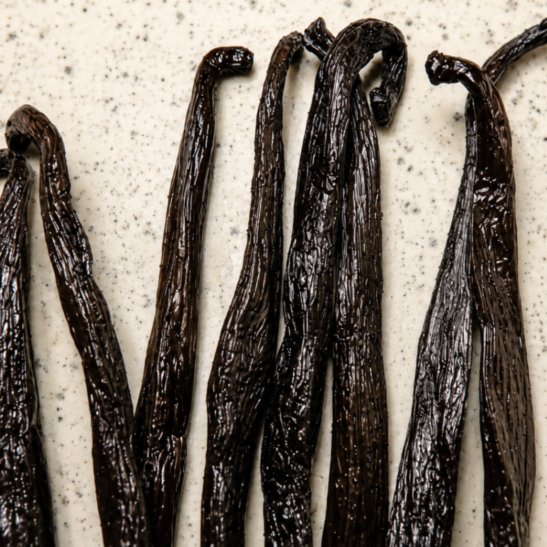 Atelier Évin — Madagascar Bourbon Vanilla 14–15 cm