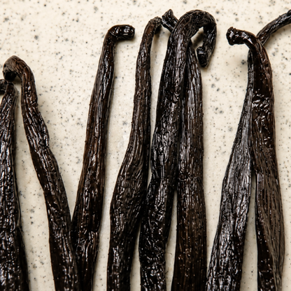 Atelier Évin — Madagascar Bourbon Vanilla 14–15 cm