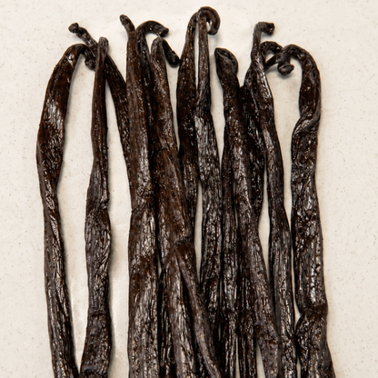 Atelier Évin — Madagascar Bourbon Vanilla 18-19 cm