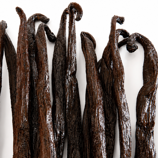 Atelier Évin — Madagascar Bourbon Vanilla 16-17 cm