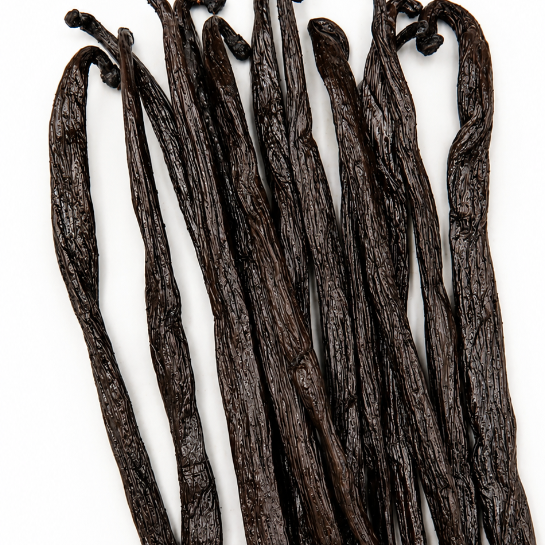Atelier Évin — Madagascar Bourbon Vanilla 14–15 cm