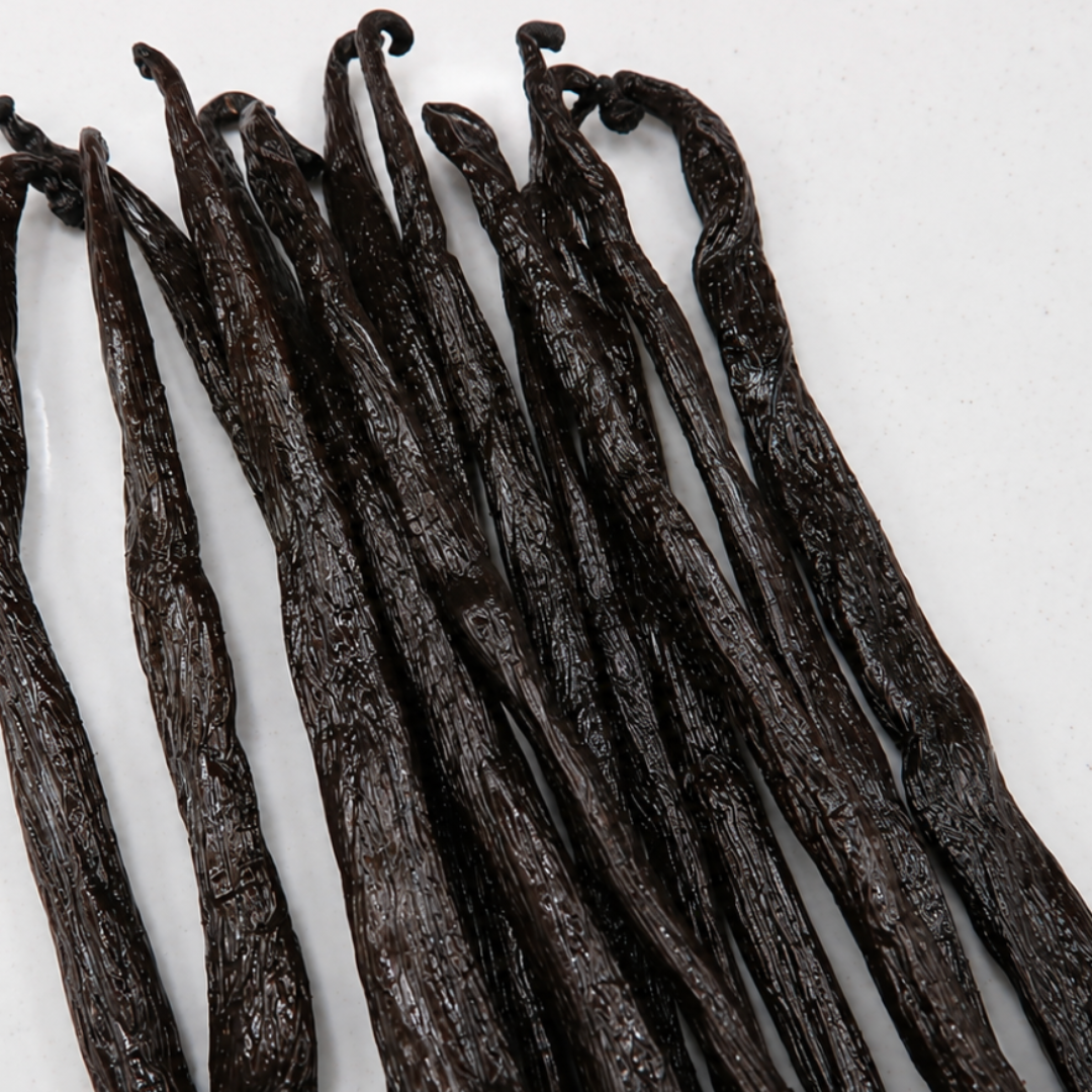 Atelier Évin — Madagascar Bourbon Vanilla 16-17 cm