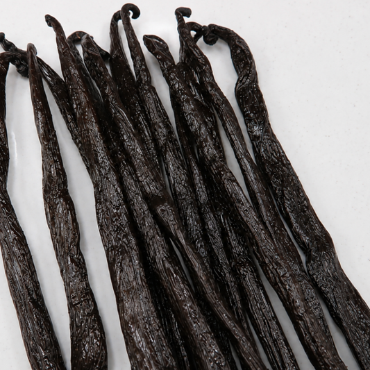 Atelier Évin — Madagascar Bourbon Vanilla 16-17 cm
