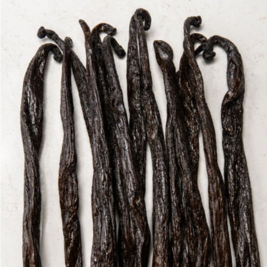 Atelier Évin — Madagascar Bourbon Vanilla 19 cm calibrated