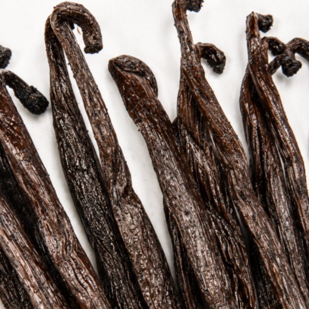 Atelier Évin — Madagascar Bourbon Vanilla 14–15 cm