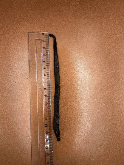 Atelier Évin — Madagascar Bourbon Vanilla 18-19 cm